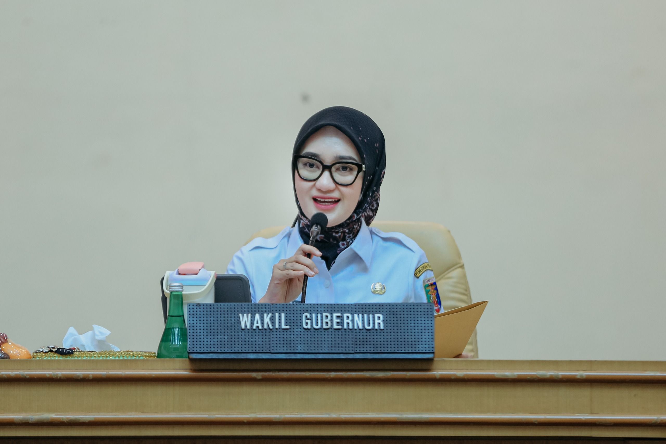 Wagub Jihan Tekankan Pencegahan dan Skrining Thalasemia di Lampung