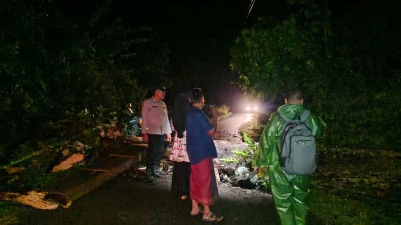 Cuaca Ekstrem di Aceh Barat: Pohon Tumbang Putus Listrik, Polisi Gerak Cepat!