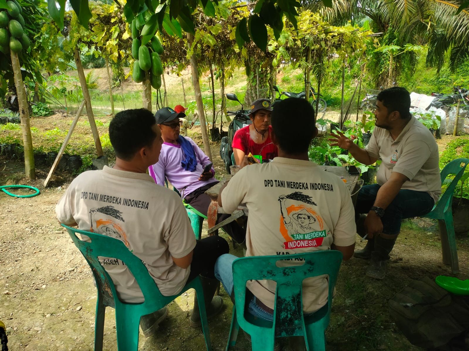 Produktivitas Sawah Rendah? Tani Merdeka Aceh Tamiang Turun Tangan Bareng Bio Energy Rimba