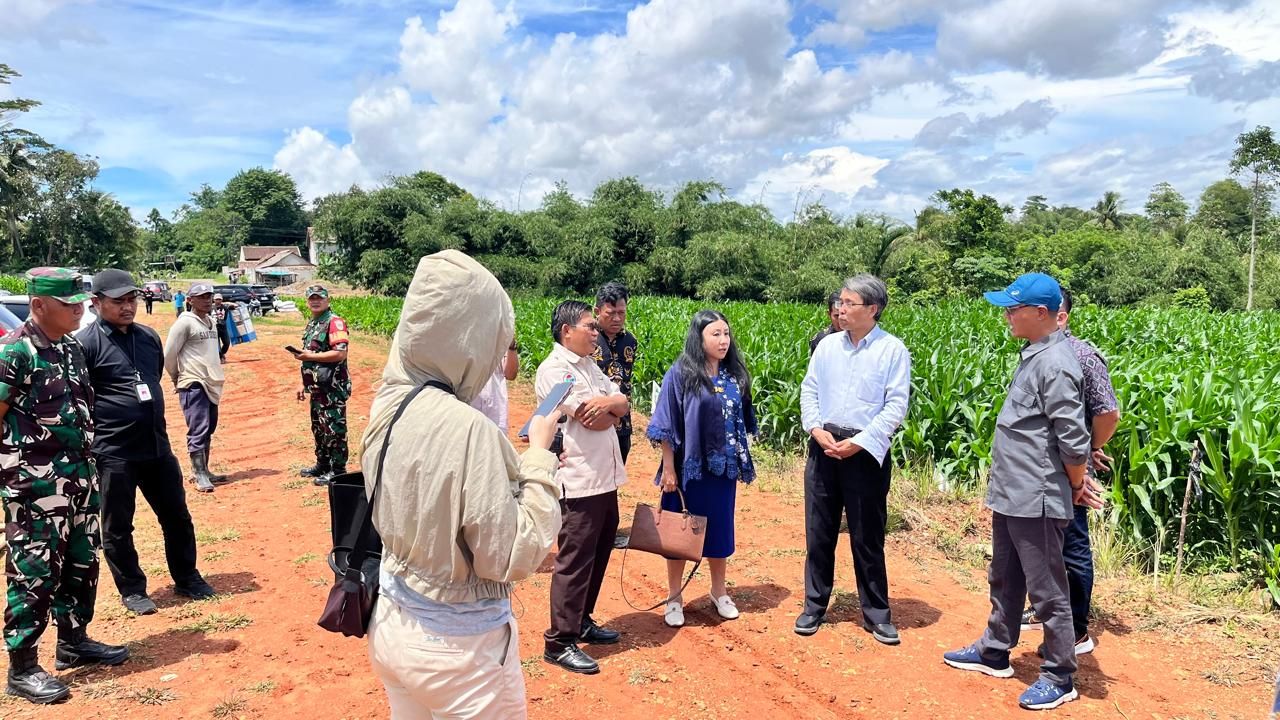 Perkebunan Jagung Binaan Kapolres Serang Dikunjungi Delegasi Tiongkok