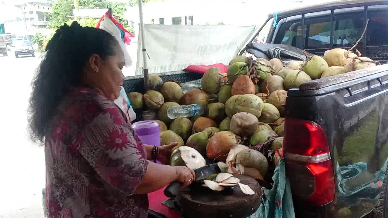 Nunukan Punya Kelapa Pandan wangi, Aromanya Harum dan Menyegarkan