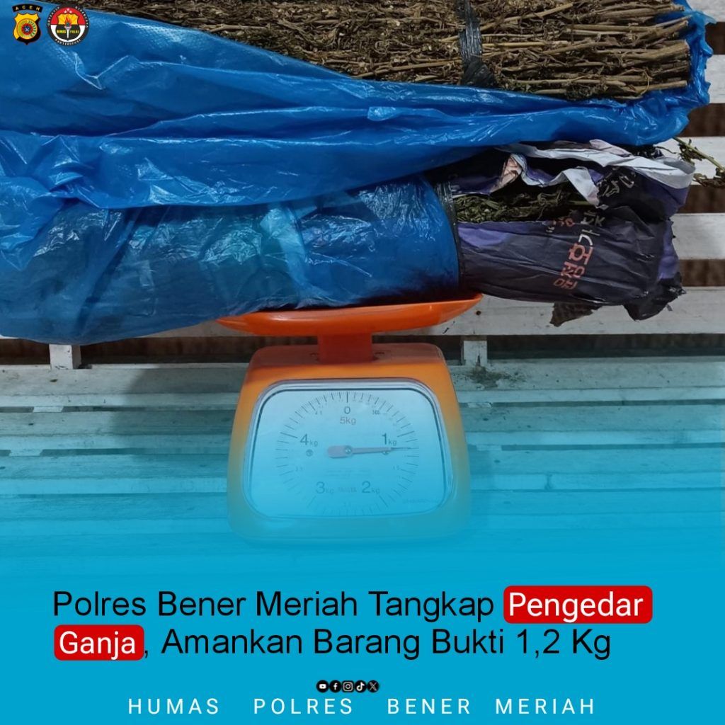 Satresnarkoba Bener Meriah Sita 1,2 Kg Ganja, Pelaku Tertangkap di Rumah Sewa