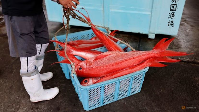 Ekspor Seafood Jepang Terancam Rugi di Tengah Memanasnya Hubungan dengan China