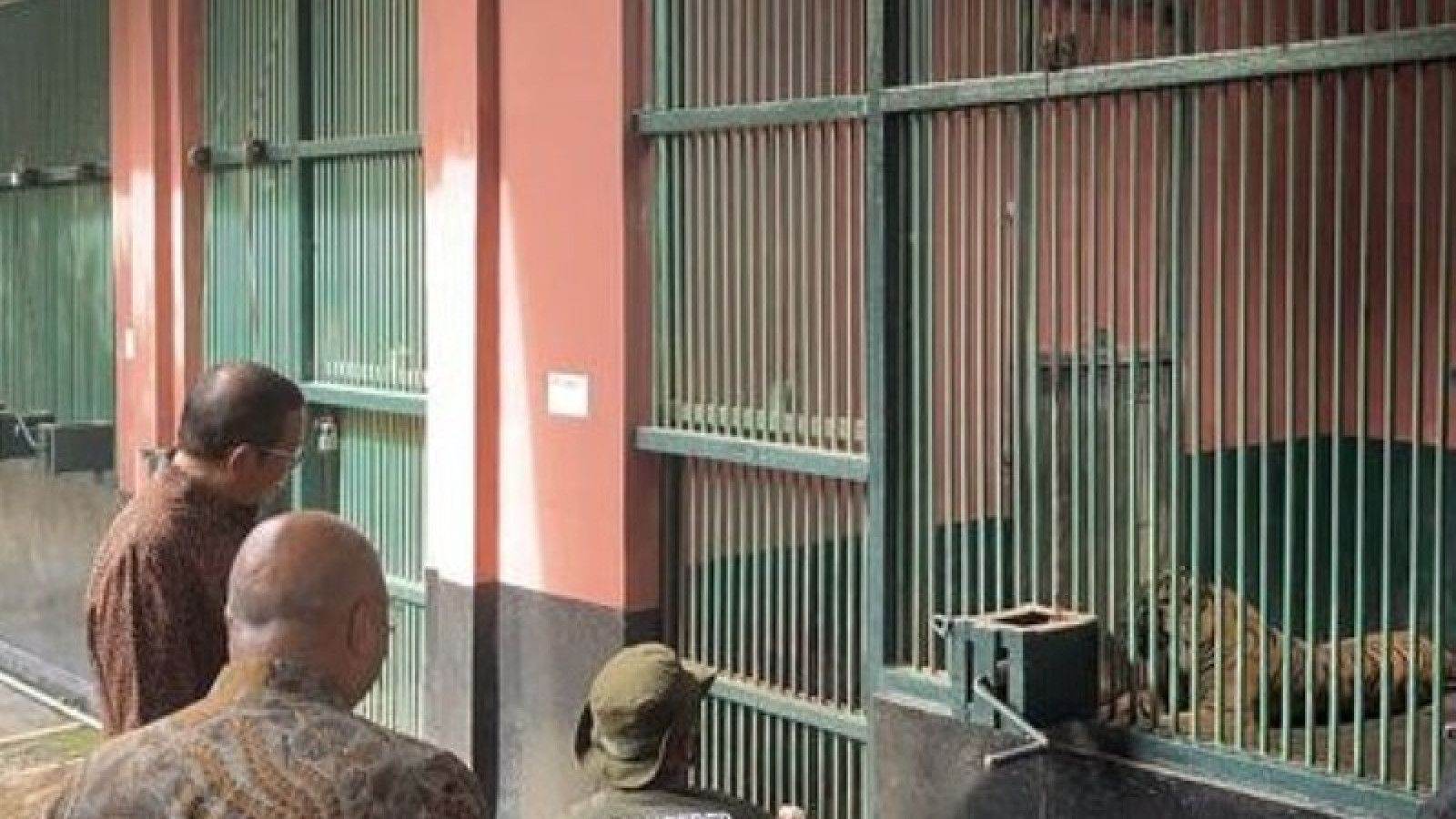 Kunjungan Gubernur DKI Jakarta ke Taman Margasatwa Ragunan: Fokus pada Kesehatan Satwa