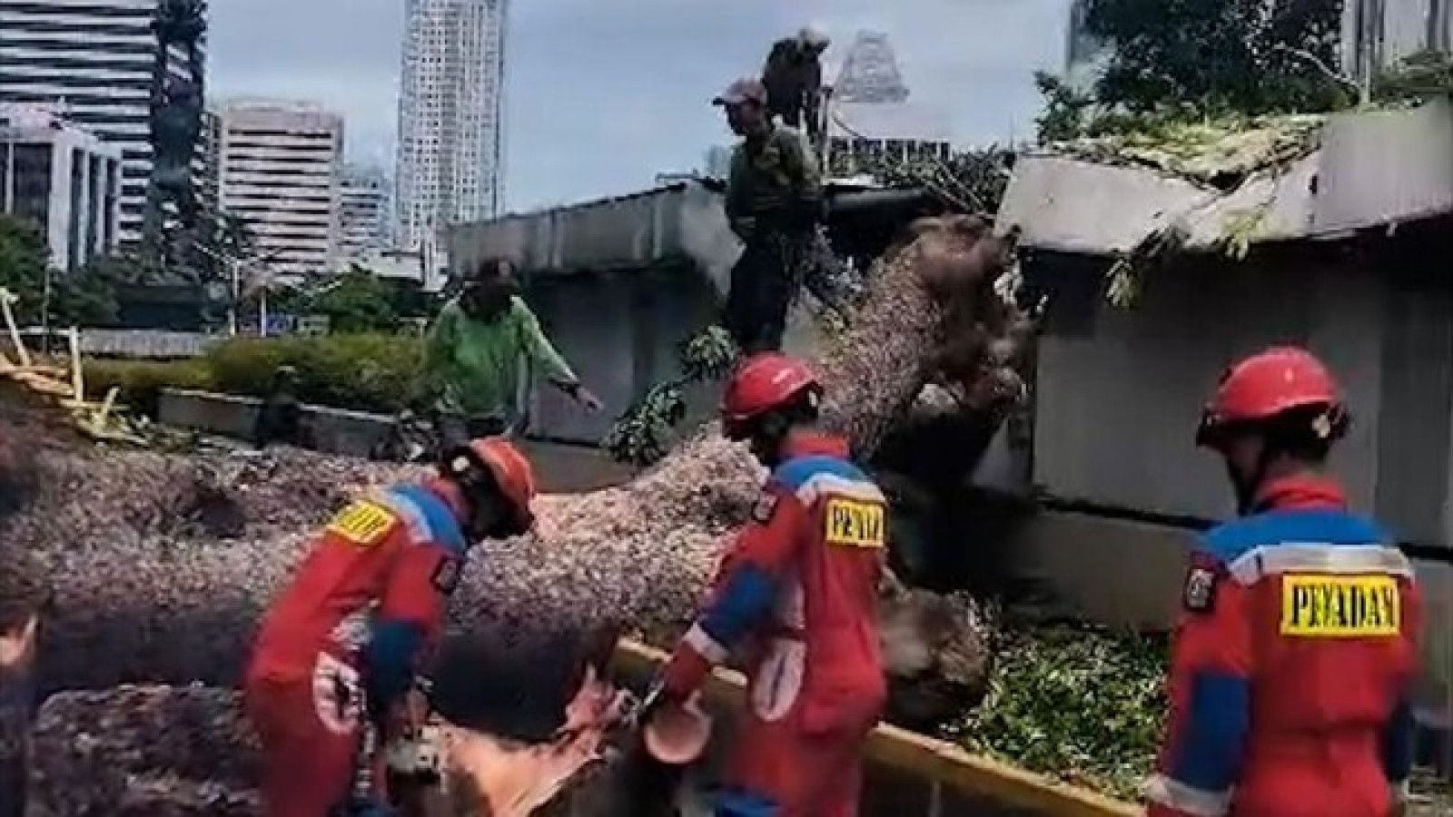 Hentikan Sementara Layanan MRT Jakarta Akibat Pohon Tumbang