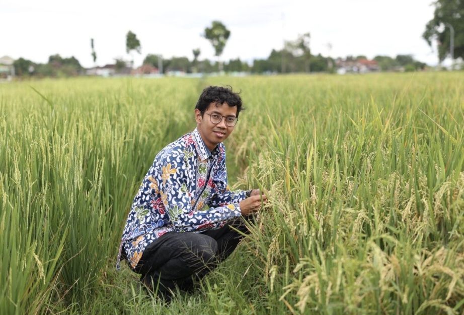 Kandungan Gizi Lebih Tinggi, UGM Luncurkan Beras Premium “Presokazi”