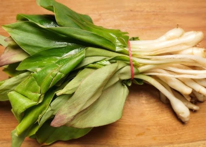 10 Manfaat Daun Kencur untuk Kesehatan, Khasiatnya Luar Biasa!