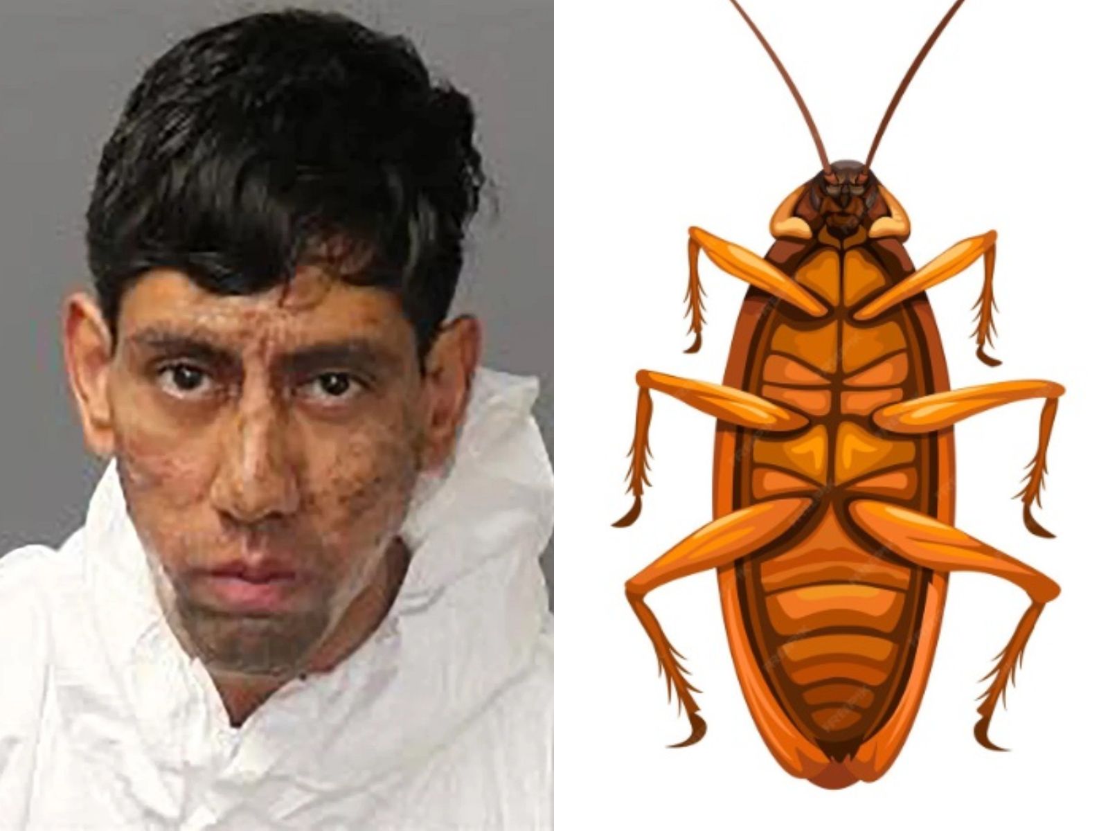 Fakta Kasus Pria di New Mexico Dituduh Membunuh 2 Orang, Mengaku Disuruh Seekor Kecoa