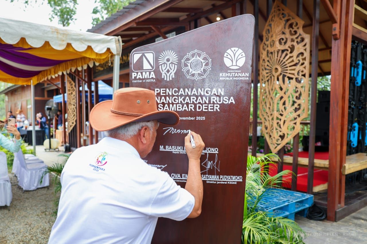12 Rusa Sambar Dilepasliarkan di Nusantara, IKN Resmi Luncurkan Program Eco-Edu Forest