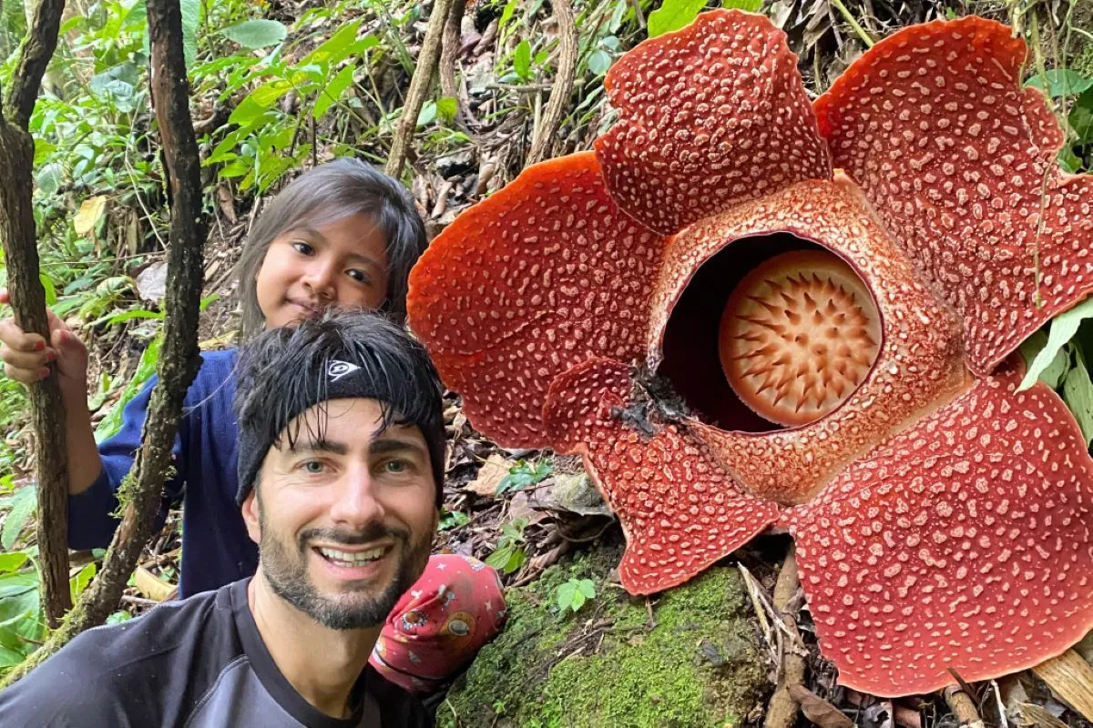 Dua Rafflesia Arnoldii Mekar Bersamaan di Desa Selamat Sudiarjo, Rejang Lebong