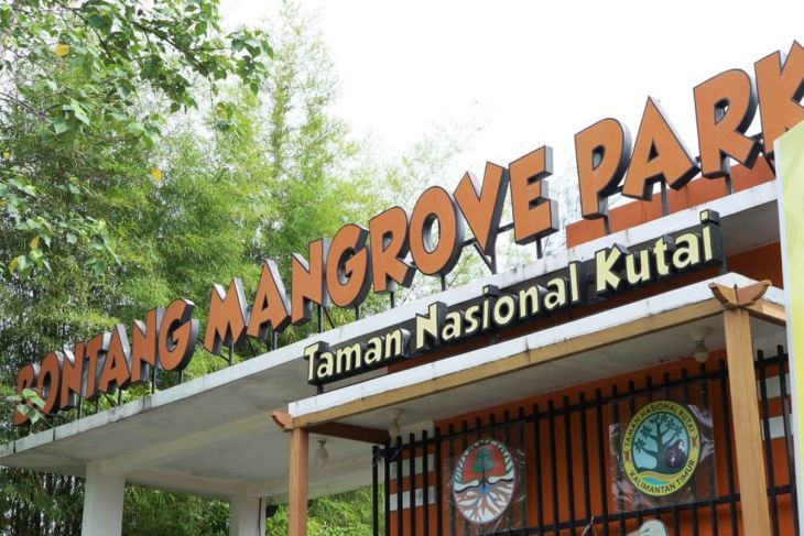 Bontang Tak Lagi Hanya Industri! Investor Diundang Danai Hutan Mangrove hingga Pulau Beras Basah