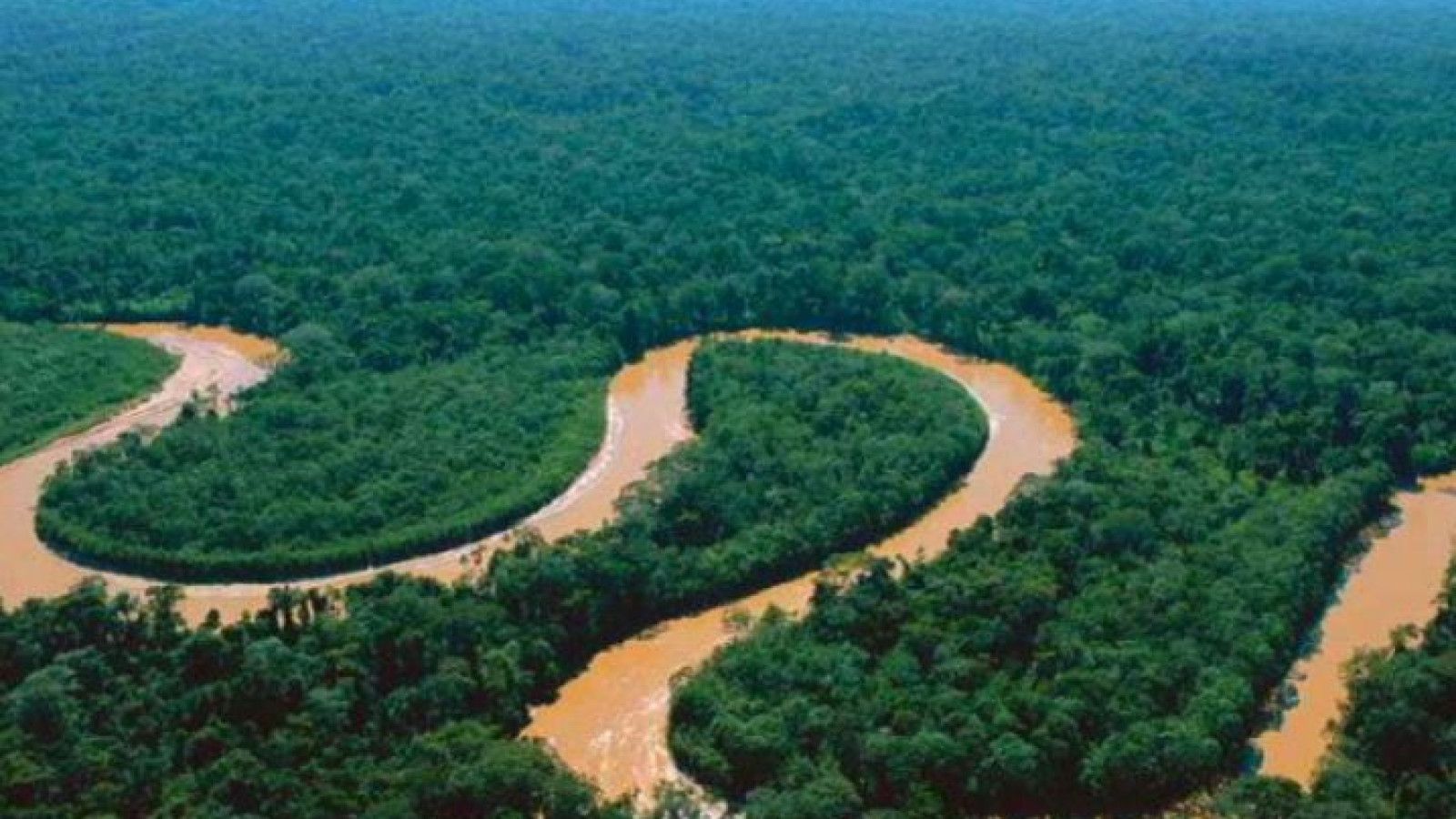 Fenomena Aliran Sungai Amazon: Terungkapnya Sejarah Geologis yang Menarik