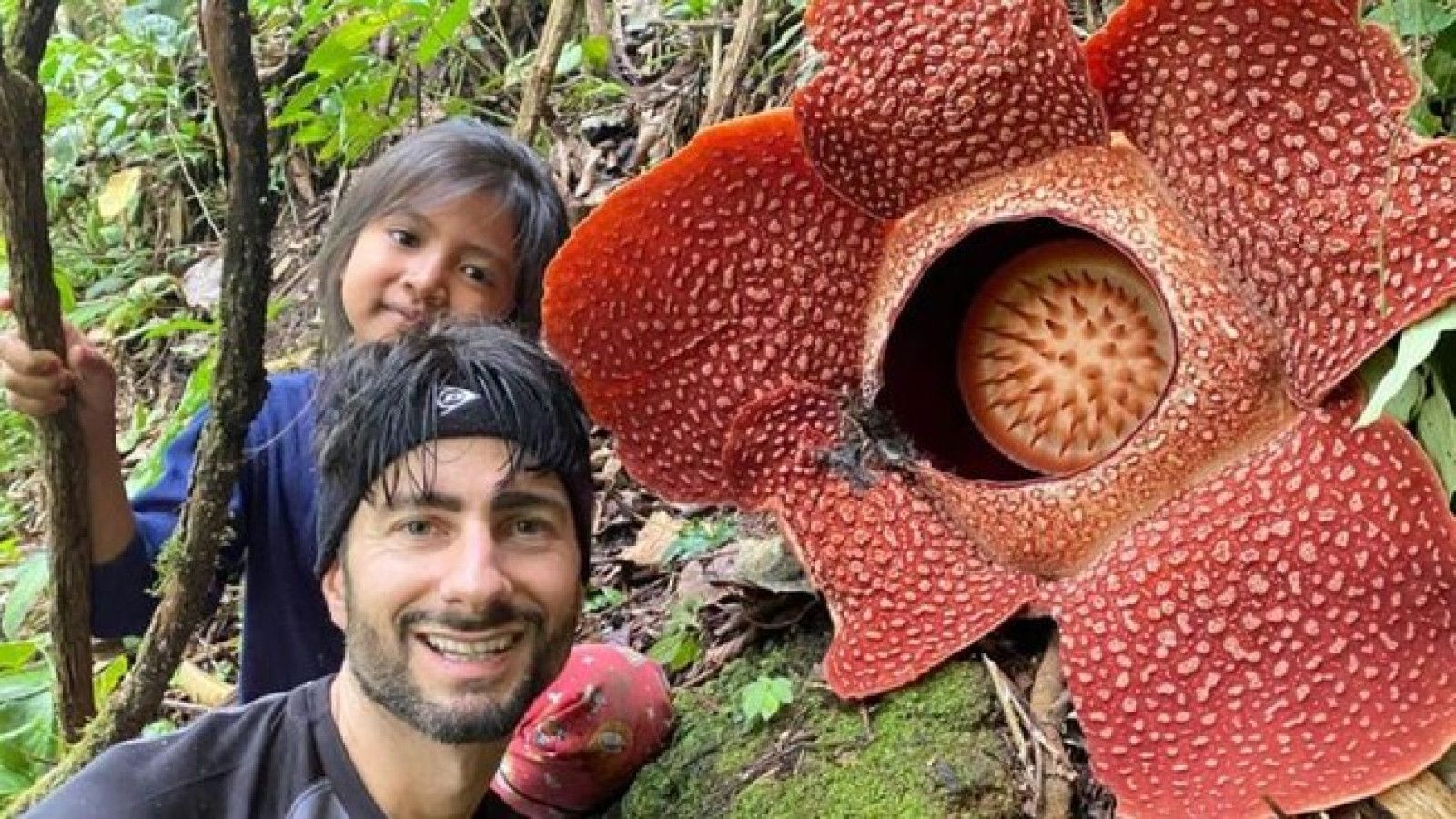 Penemuan Baru Rafflesia Hasseltii: Keanekaragaman Hayati Indonesia dalam Sorotan