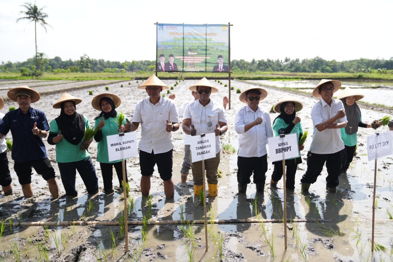 Wilayah Moyudan Dipilih Kementan Jadi Percontohan Kampung Peramalan Hama Tanaman di DIY