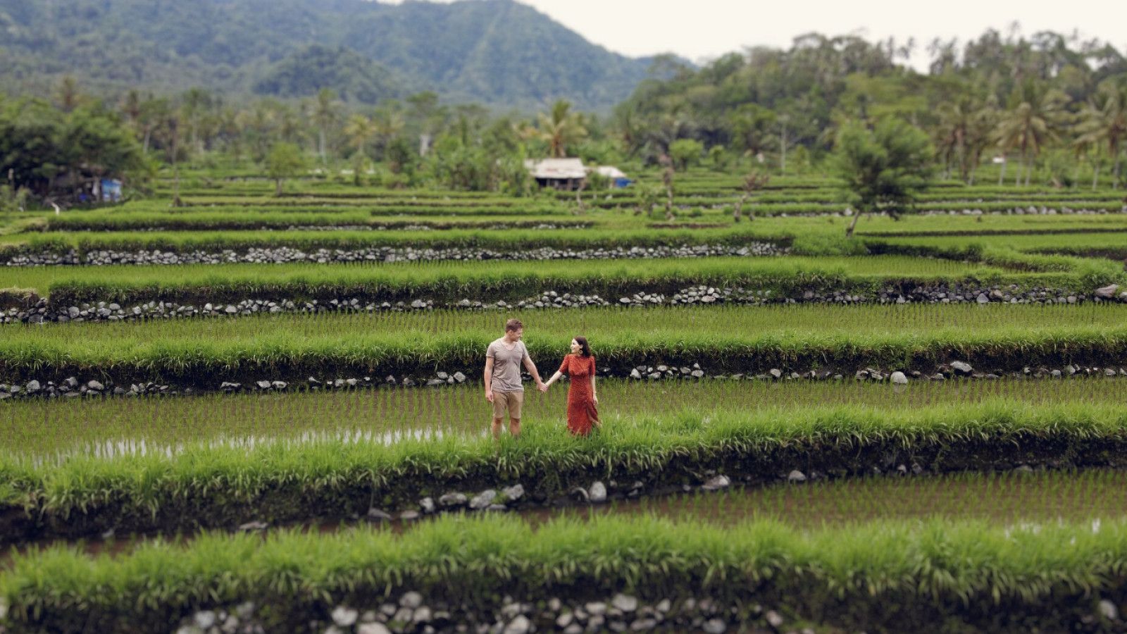 Menemukan Ketenangan: Destinasi Digital Detox Terbaik di Indonesia