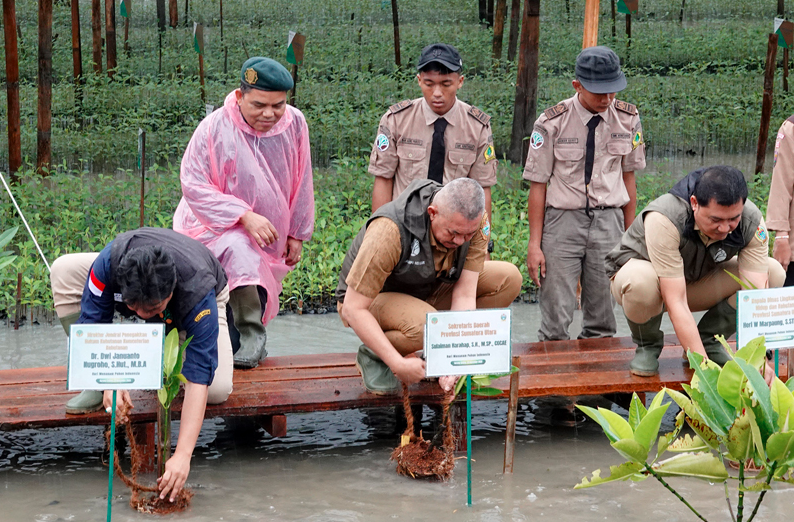 Dari Pesisir ke Masa Depan: Mangrove 8.307 Hektare Warnai Komitmen Sumut