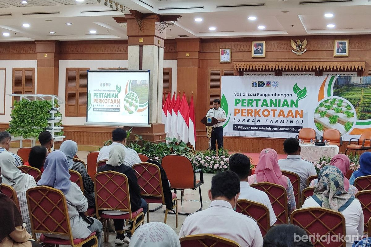 Sudin KPKP Jakarta Barat Dorong Urban Farming Lewat Sosialisasi dan Bantuan Sarana