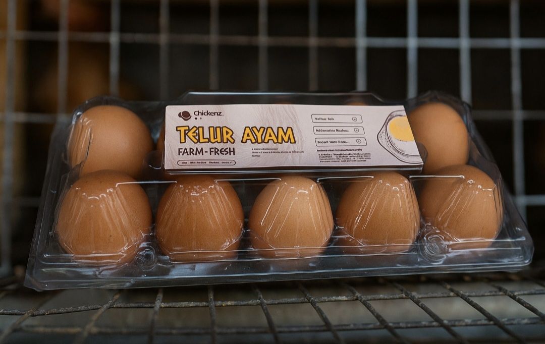 Dorong Lahirkan Peternak Gen Z, Lima Mahasiswa UNY Ini Ciptakan ChickenZ Telur Omega-3 Berbasis Smart Farming
