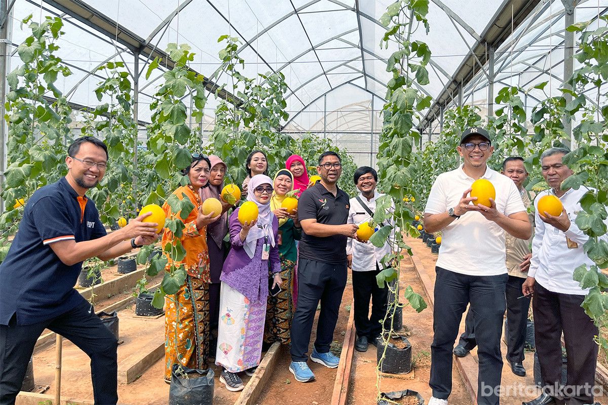 Panen Melon di Cilangkap Hasilkan 700 Kg Buah Berkualitas