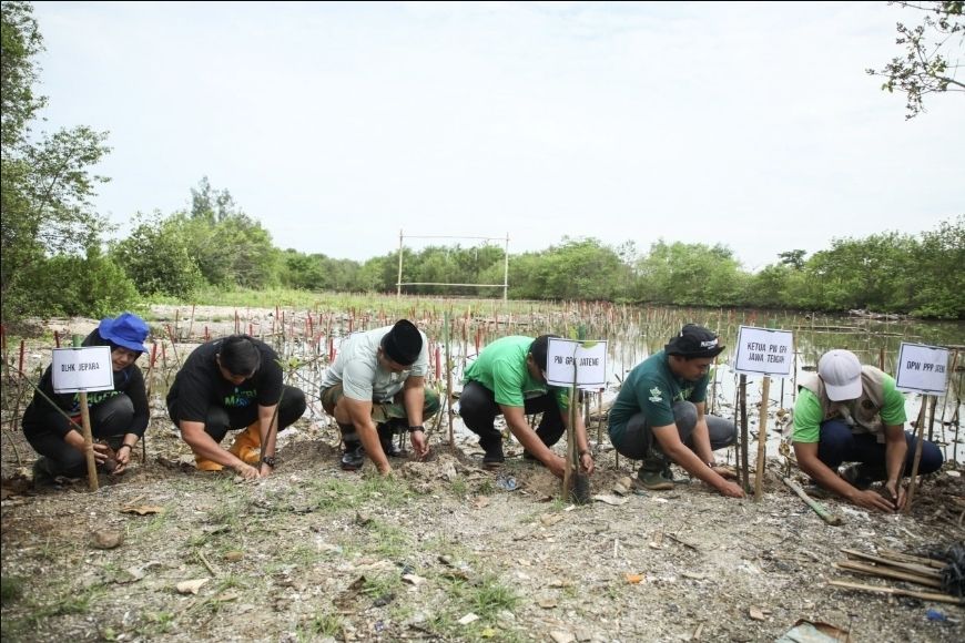 Cegah Abrasi dan Lestarikan Ekosistem Pesisir, Gus Yasin Bersama GPK Menanam Mangrove