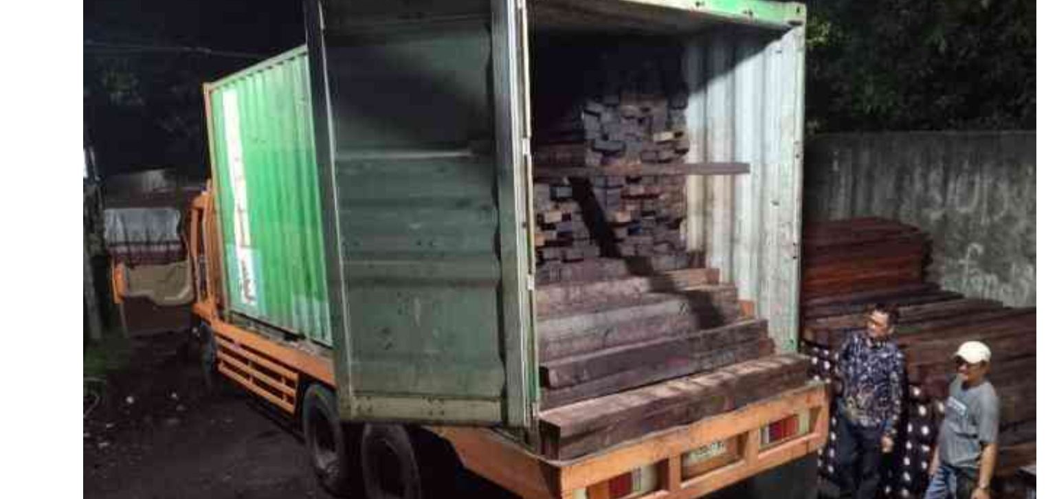 Gakkum Bekuk Pengiriman Besar Kayu Merbau dari Sorong Selatan: Empat Kontainer Diamankan di Sulawesi Selatan Usai Penyelidikan Lintas Wilayah