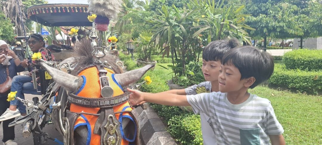 Meriahnya Kontes Kuda Andong di Malioboro Hari Ini, Warga Dukung Jadi Agenda Tahunan