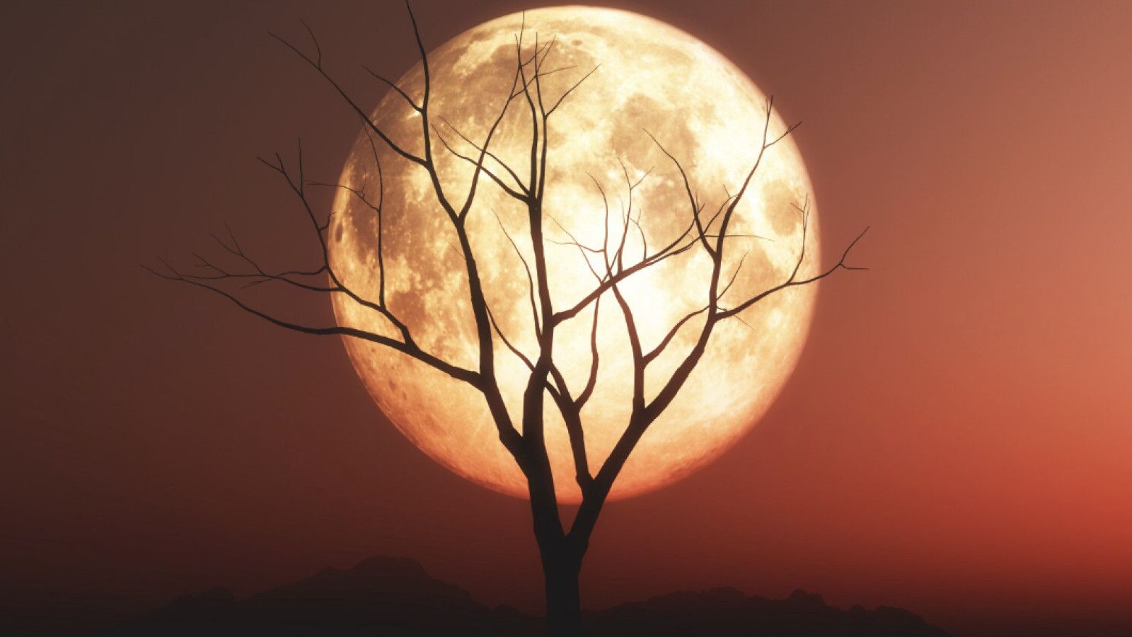 Fenomena Astronomi Desember 2025 di Indonesia: Supermoon dan Hujan Meteor