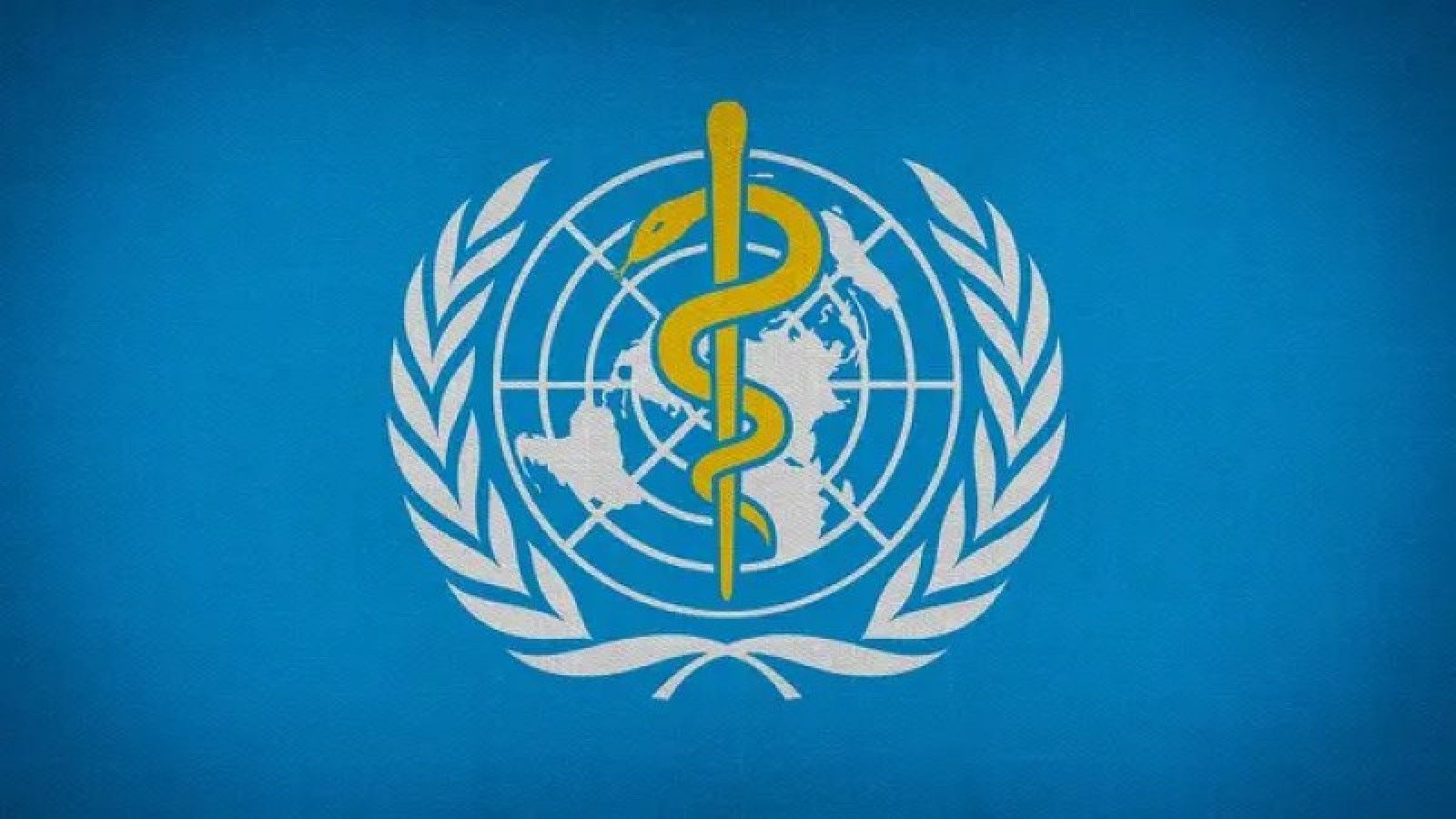 WHO Rilis Pedoman Terbaru untuk Atasi Obesitas dengan Obat GLP-1