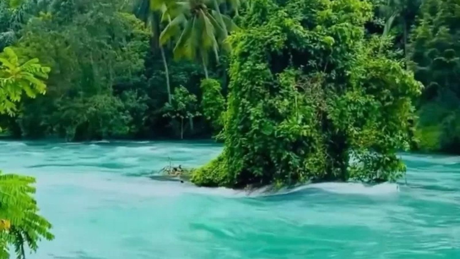Fenomena Jernihnya Danau Singkarak di Tengah Banjir Aceh dan Sumatera