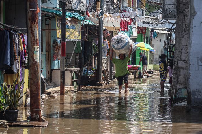 Banjir Rob di Jakarta Utara, Belasan RT Tergenang Air Laut