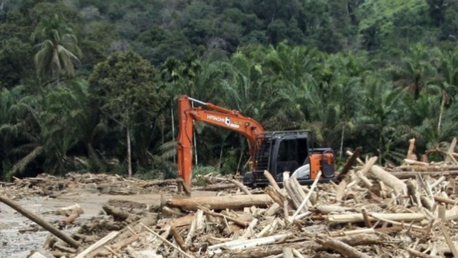 Banjir di Aceh dan Sumatera: Penemuan Kayu Gelondongan Terkait Pembalakan Ilegal
