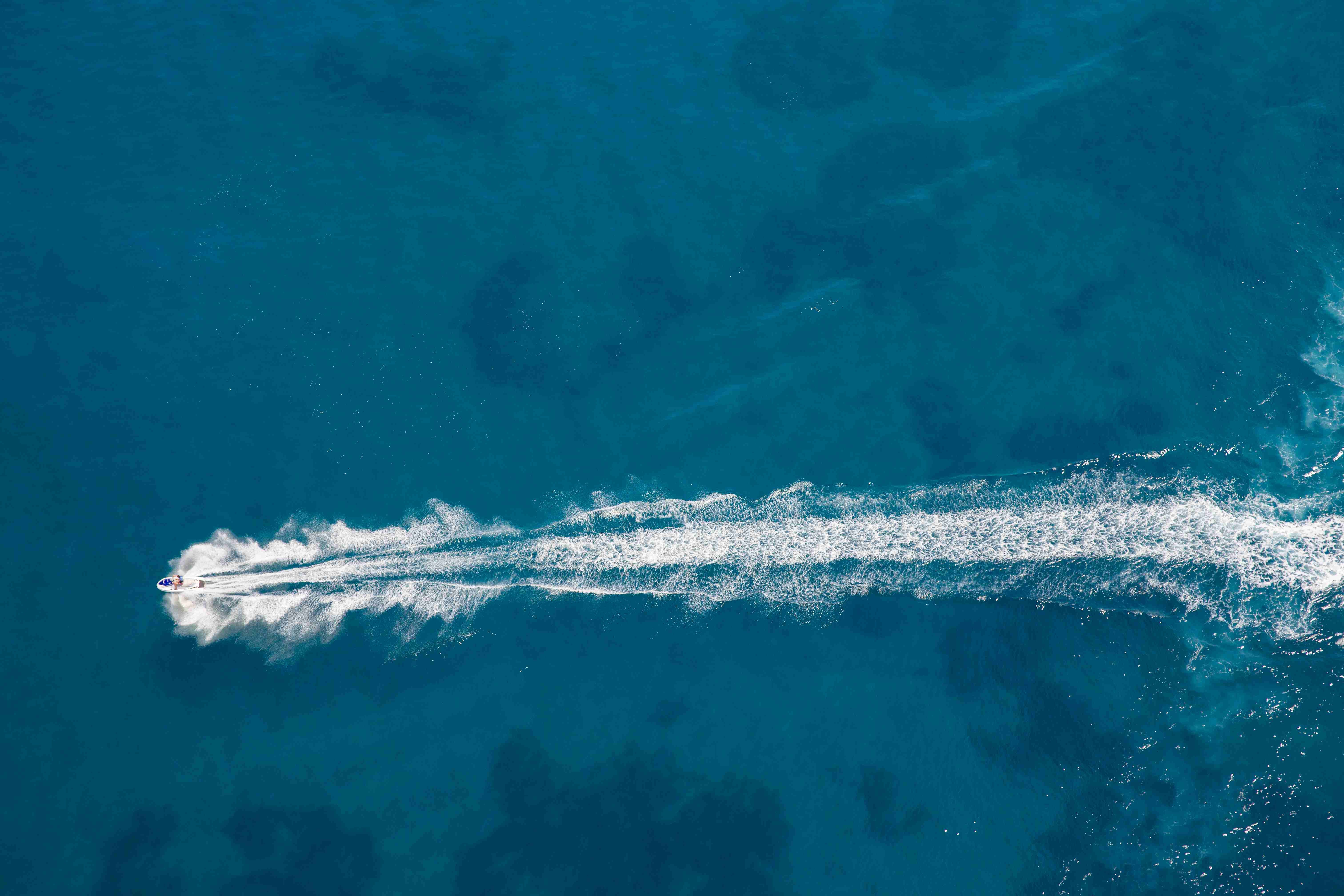 Jalur Panjang Menuju Laut, Mengurai Proses Perizinan Kemenhub untuk Kapal Cepat di Indonesia