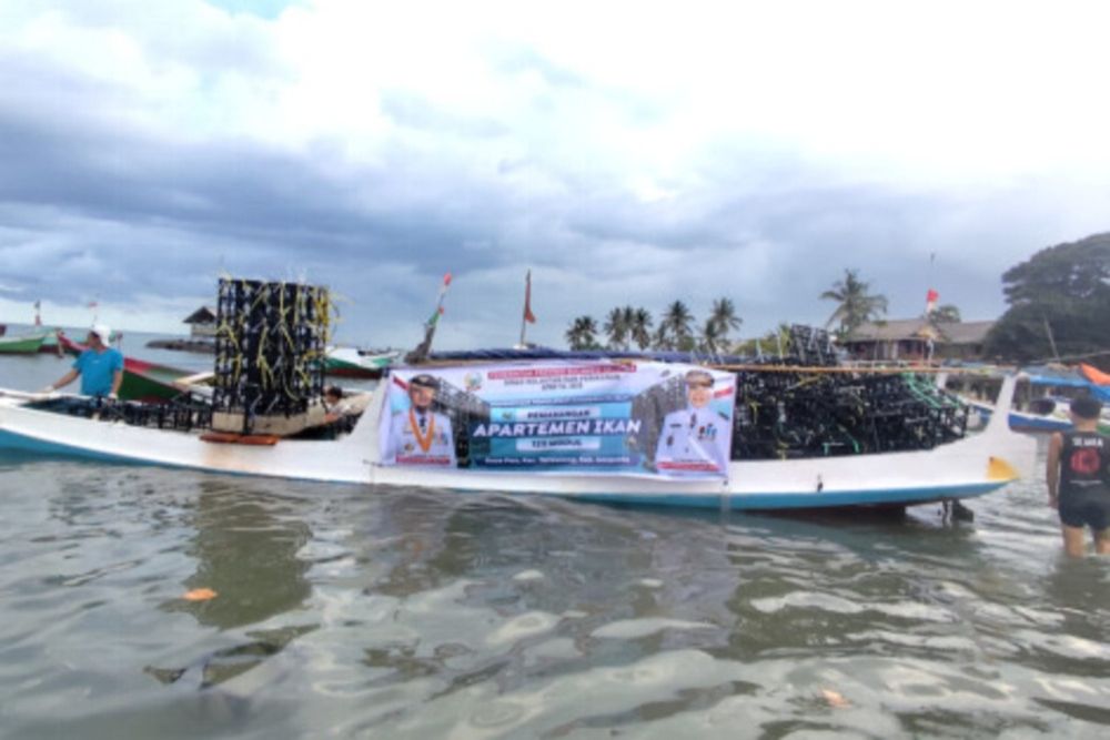 Pemprov Sulsel Bangun 1.657 Apartemen Ikan, Produksi Ikan Diproyeksi Tembus 596 Ton per Tahun
