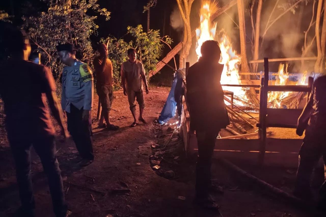 Polisi Musnahkan Arena Judi Sabung Ayam di Bulukumba, Fasilitas Dibakar hingga Rata