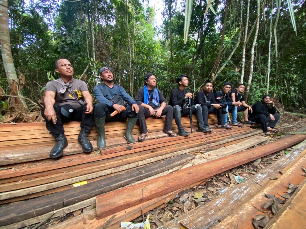 Dikejar Gelap, Harimau, dan Kelaparan: Polisi Tiga Kabupaten di Riau Ungkap Gudang Kayu Ilegal 300 Kubik di Tengah Belantara