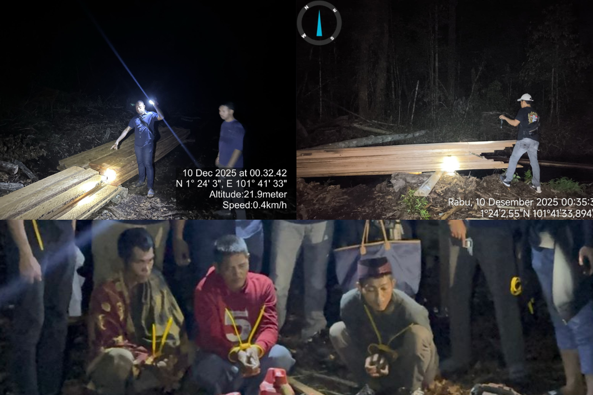 Terungkap! Aksi Illegal Logging di Bengkalis Ternyata Lebih Parah dari Dugaan