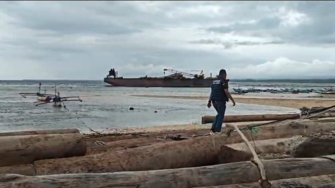Gubernur Lampung Sebut Kayu Terdampar di Tanjung Setia Bukan Hasil Illegal Logging