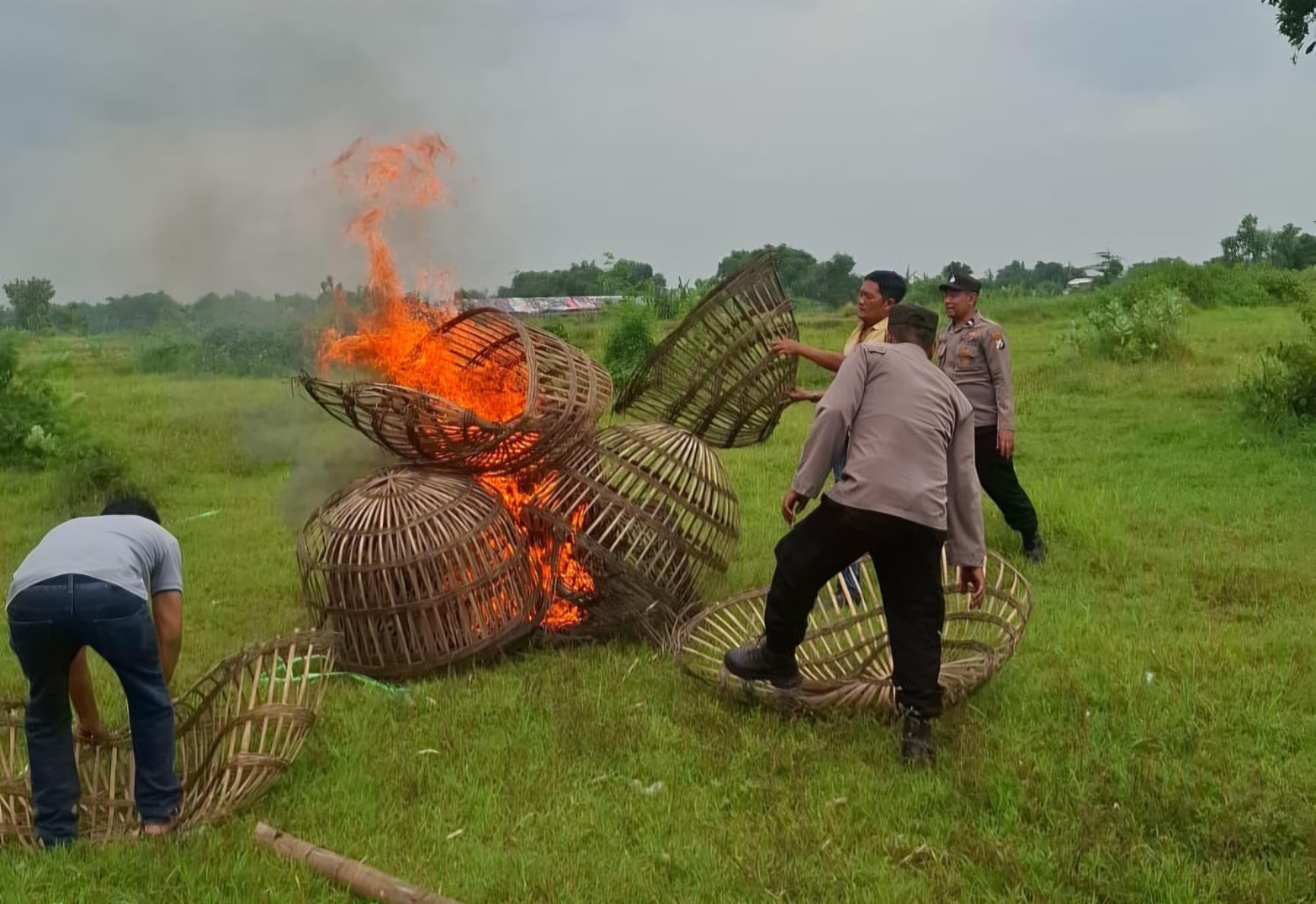 Arena Sabung Ayam di Mojokerto Dibakar Polisi, Penjudi Kocar-Kacir Melarikan Diri