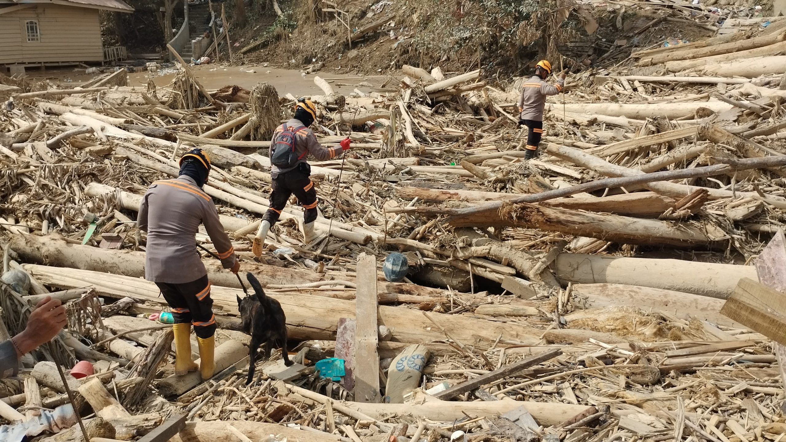 Anjing Pelacak Dikerahkan! Polri Intensifkan Pencarian di Banjir Aceh Tamiang
