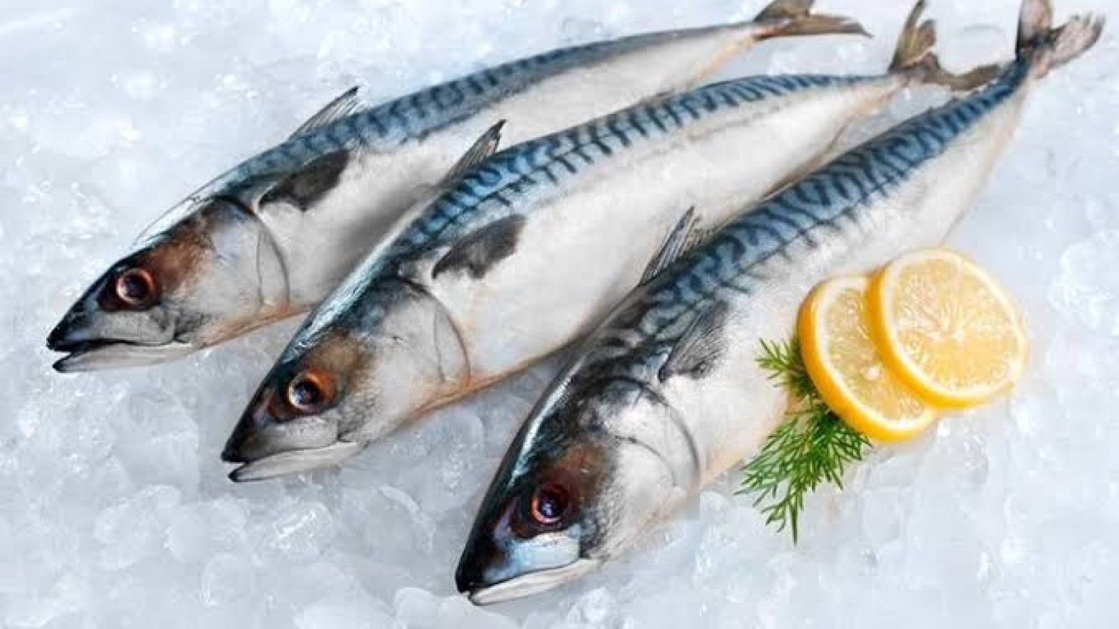 Makanan Sehat untuk Pengidap Kolesterol Tinggi
