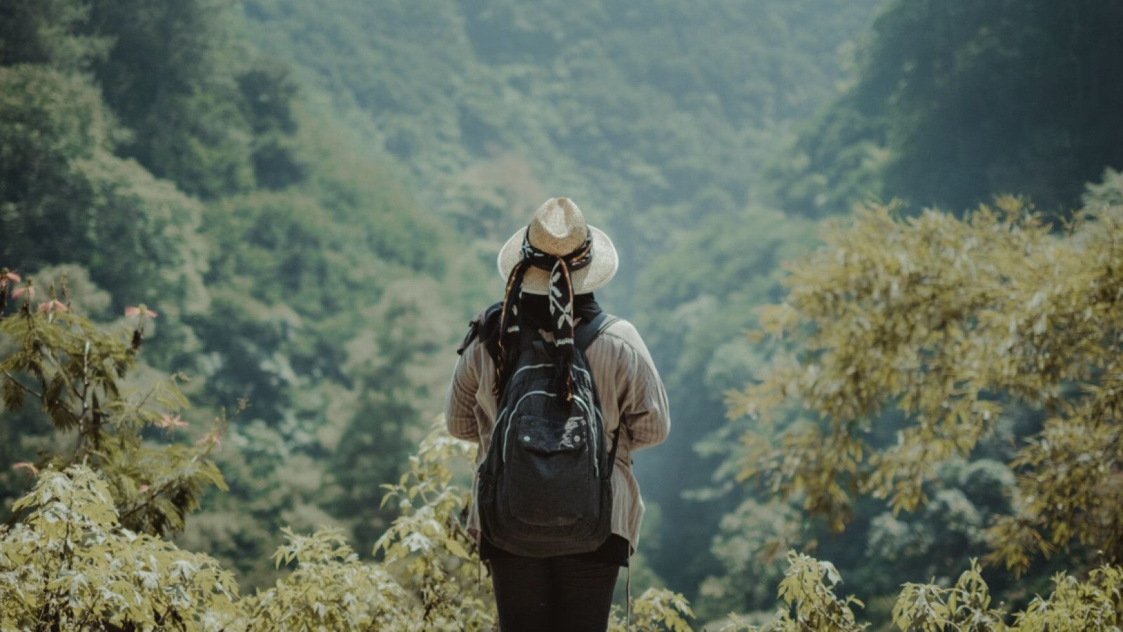 Koneksi dengan Alam: Menemukan Ketenangan di Tengah Kesibukan