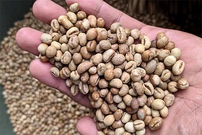 5 Oleh-oleh Wajib dari Banyuwangi: Dari Batik Legendaris hingga Kopi Langka!