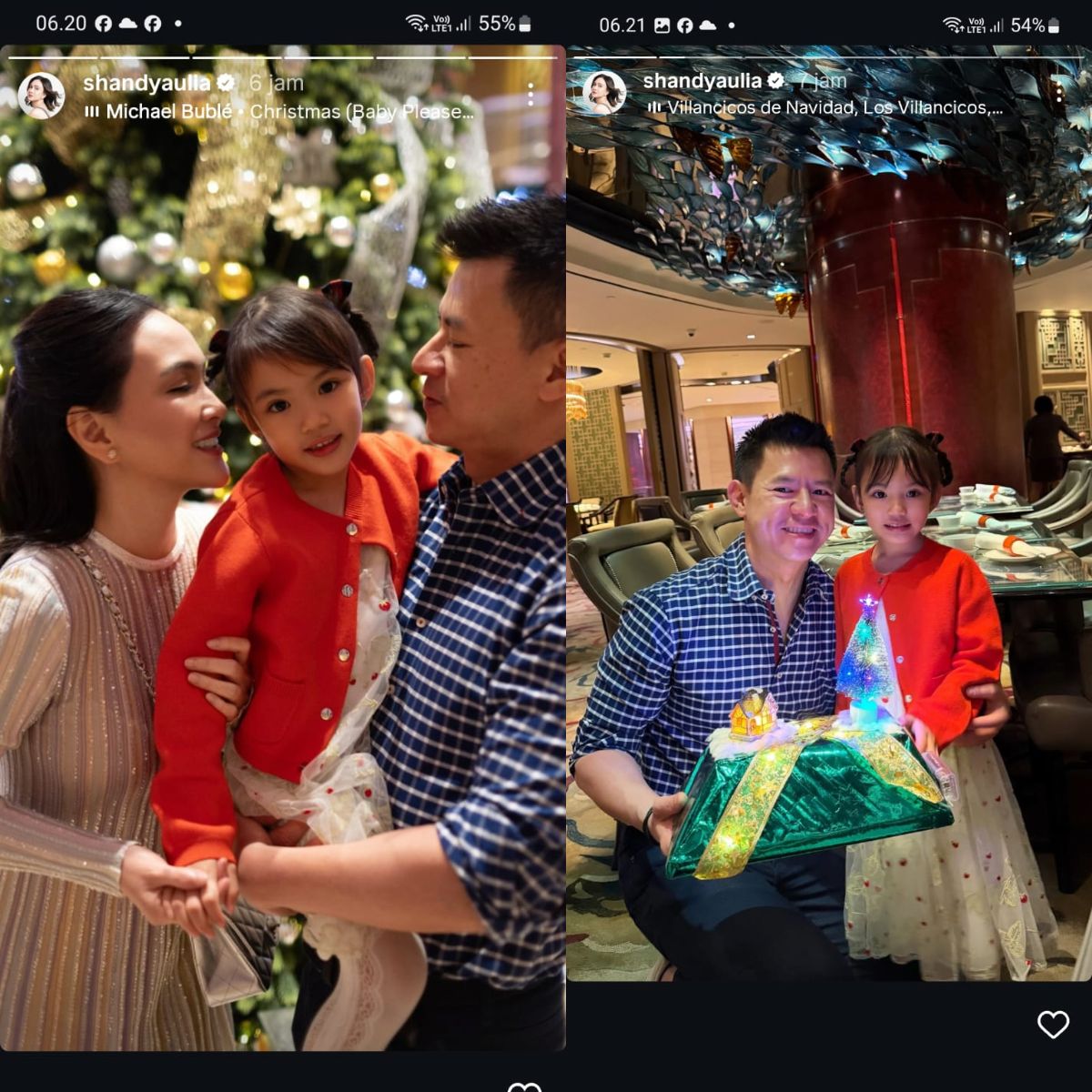 Tetap Kompak, Shandy Aulia Dinner Bareng Mantan Suami