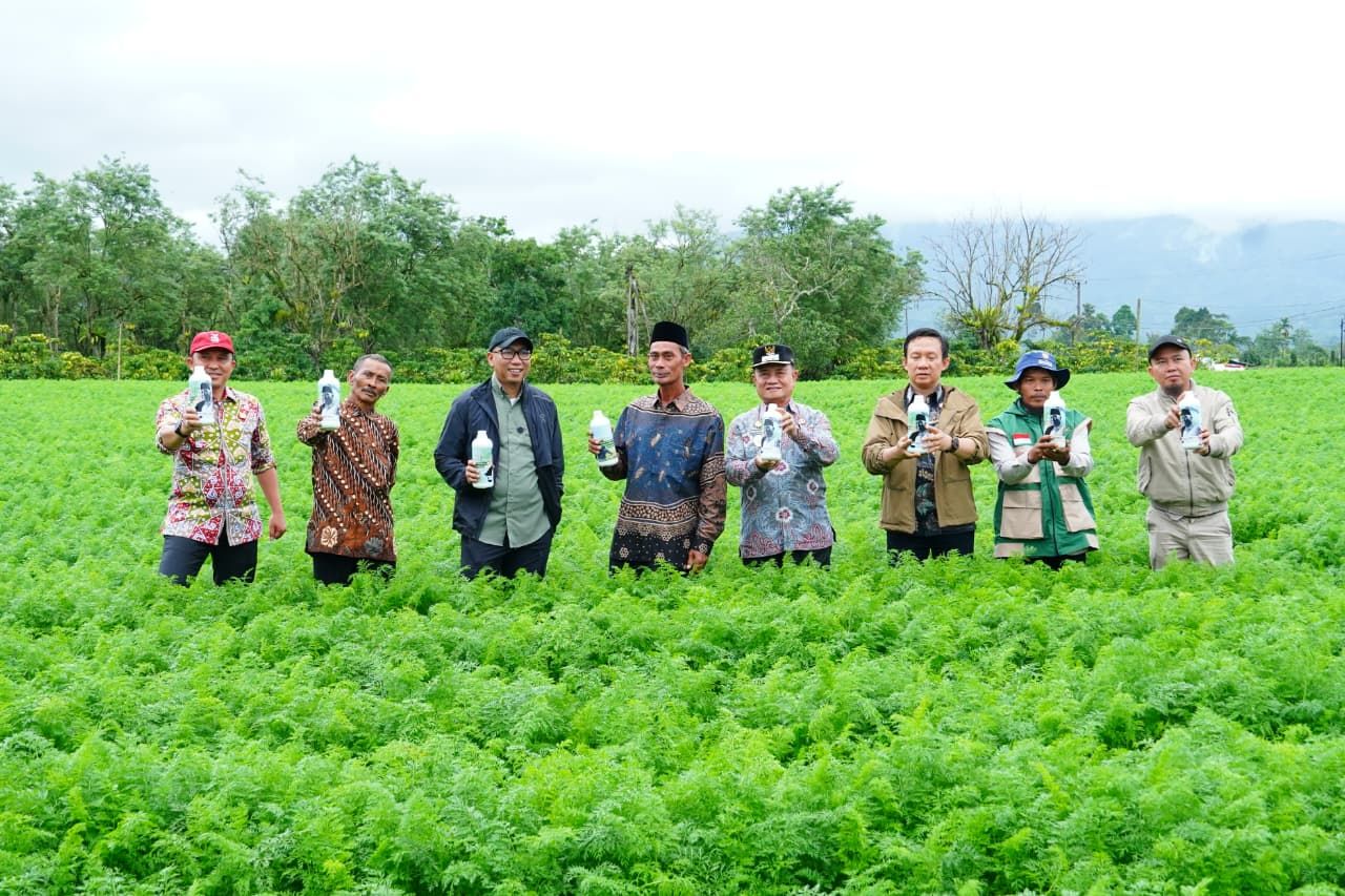 Tinjau Sentra Sayur di Sukau, Gubernur Lampung Instruksikan Proteksi Harga Panen Petani dan Siapkan Hilirisasi
