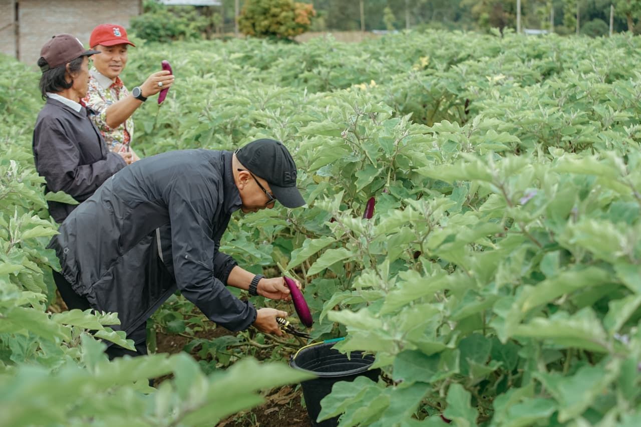 Pekon Tanjung Raya di Lampung Barat Jadi Percontohan Program Desaku Maju