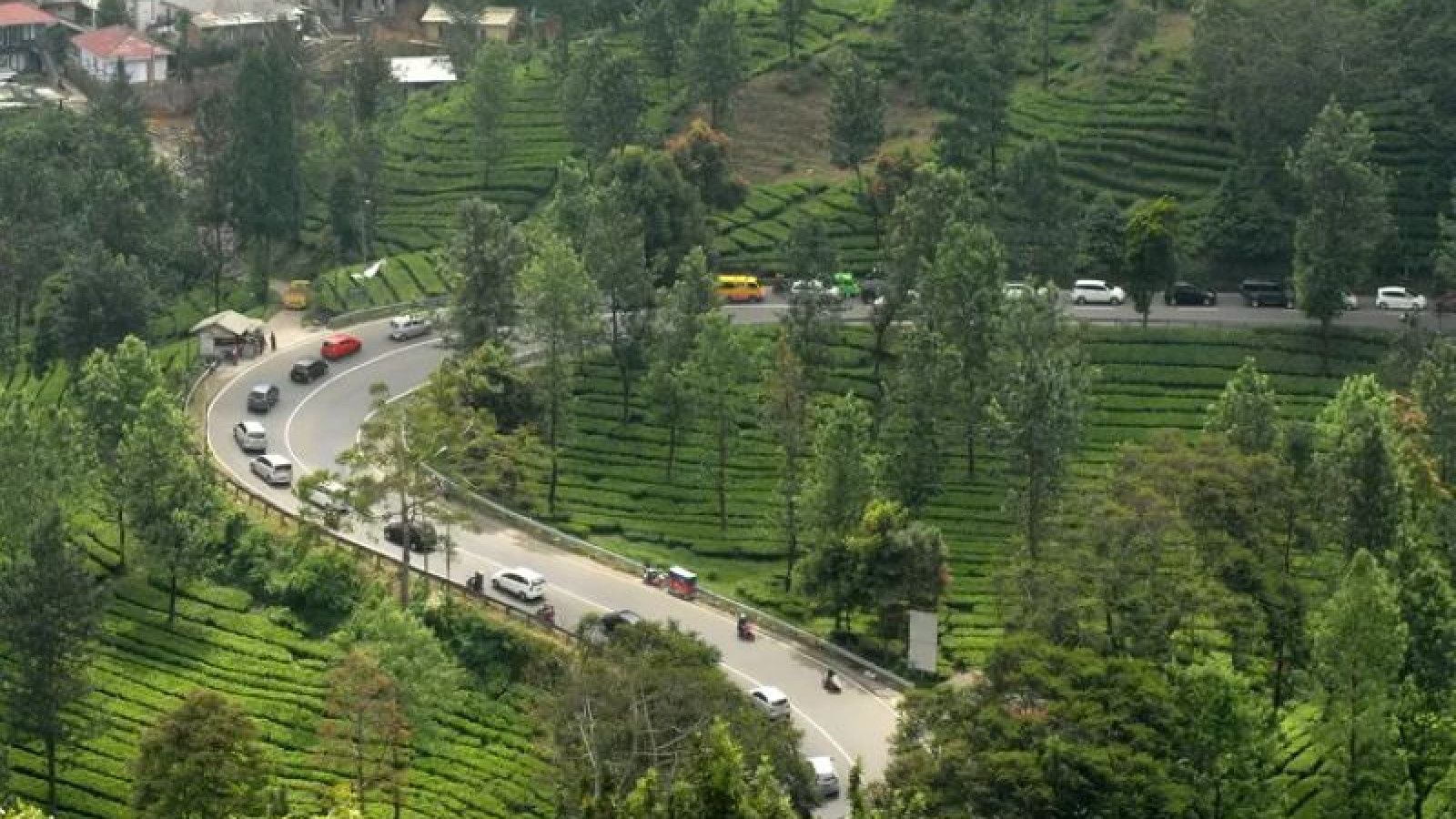 Puncak Bogor Siap Sambut Libur Nataru Tanpa Ganjil Genap