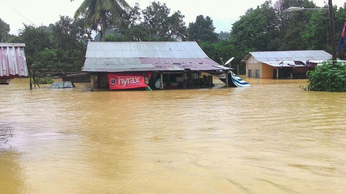 Update Kondisi Banjir Kalsel Hari Ini: Titik Rawan di Banjarmasin dan Banjarbaru