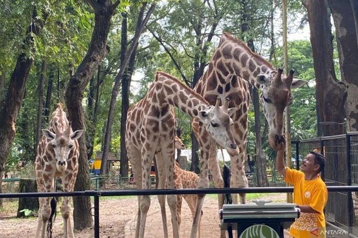 Ratusan Petugas Gabungan Amankan Taman Margasatwa Ragunan Selama Nataru