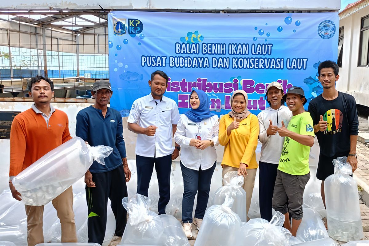 Pemprov DKI Dorong Kemandirian Pesisir lewat 143 Ribu Benih Ikan