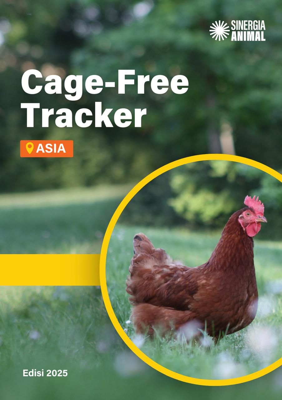 Asia Cage-Free Tracker 2025: Transparansi Perusahaan Jadi Tantangan Utama Transisi Telur Bebas Sangkar